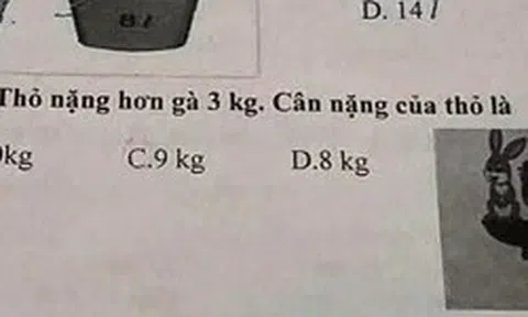 Bài Toán tính gà thỏ khiến ông bố nửa đêm mất ngủ: 200 người vào cuộc vẫn thấy đáp án quá mông lung