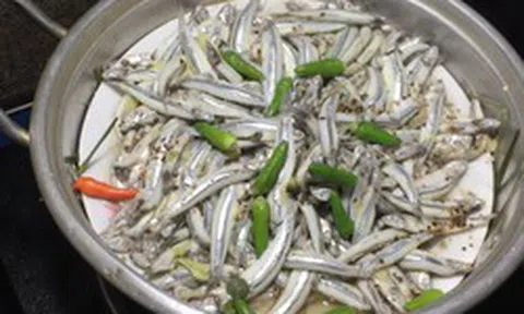 Phát hiện 3 loại cá giàu canxi hơn cả sữa, chứa cả "vựa" omega 3: Cực tốt cho sức khỏe