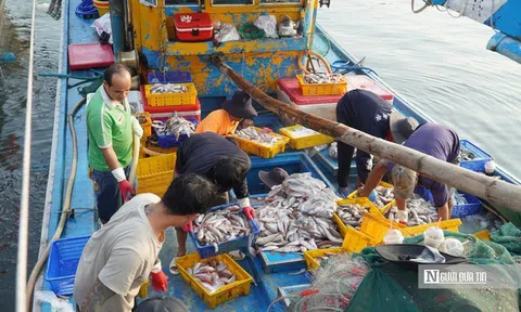 Truy xuất nguồn gốc thuỷ sản trên tàu cá, Lâm Đồng còn khoảng trống cần lấp đầy