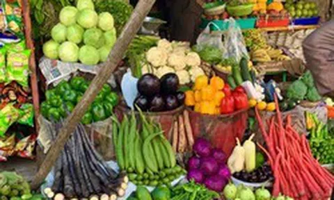 1 loại rau được Mỹ đánh giá ít ngậm thuốc trừ sâu bậc nhất: Trồng thùng xốp cũng lớn, thu đông chợ Việt bán la liệt