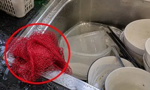 Lời khuyên cho những gia đình để lưới rửa bát ẩm ướt 24/24