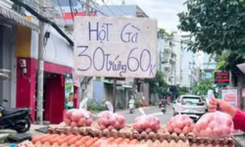 Trứng gà giá rẻ len lỏi đến tận nhà