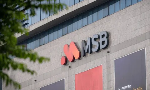 MSB thông qua kế hoạch tăng vốn lên 46.800 tỷ đồng, đồng thời mở rộng lĩnh vực kinh doanh