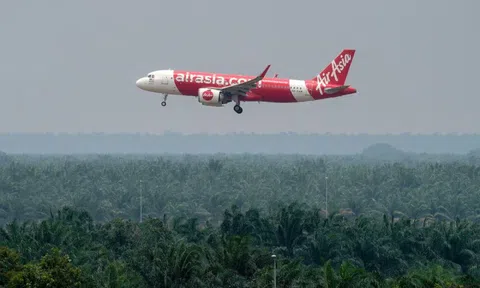 Cổ phiếu lao dốc hơn 70%, AirAsia nói không cần giải cứu