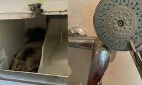 6 thứ âm thầm tích bẩn suốt 365 ngày, khuyên bạn: Lười mấy cũng phải vệ sinh ngay