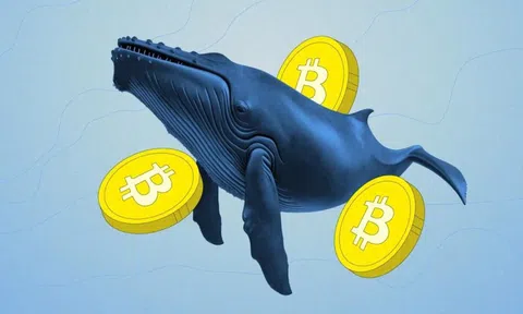 'Cá voi' Bitcoin bất ngờ 'thức giấc' sau 6 năm