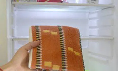 Vì sao nên đặt một chiếc khăn trong tủ lạnh?