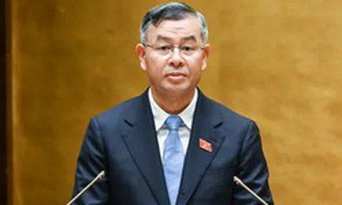 Đề xuất 'doanh nghiệp một người' không bắt buộc phải có chủ tịch, kế toán trưởng