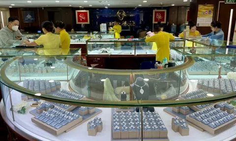 TP.HCM lên kế hoạch giảm sở hữu tại Becamex, chuyển chủ sở hữu với SJC