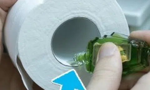 Nhỏ dầu gió vào giấy mang đến 5 công dụng bất ngờ, nhiều người tiếc vì không biết sớm