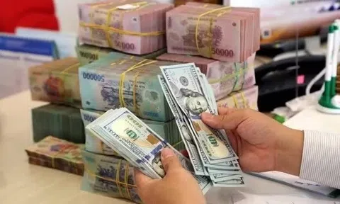 Bất ngờ kiều hối chuyển về TP.HCM