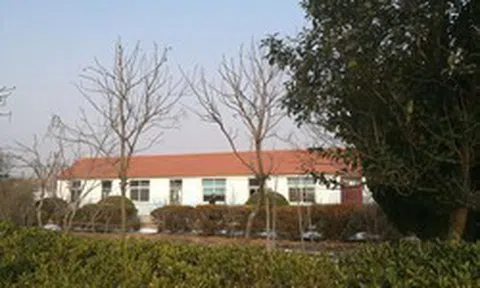 Vì sao ngày càng ít học sinh về thăm lại thầy cô giáo cũ vào những dịp lễ tết?