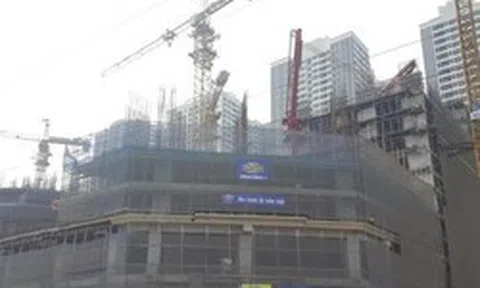 Hạn nộp thuế đất phi nông nghiệp muộn nhất ngày 2/11