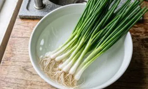 Mẹo bảo quản hành lá tươi trong tủ lạnh cả tháng, không lo héo úa