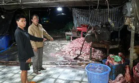 Triệt phá đường dây tiêu thụ 400 tấn lợn bệnh, lợn chết, thu lợi hơn 10 tỷ đồng