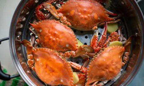 Sau tuổi 40, đừng chỉ ăn thịt bò để bổ sung vitamin B12: 7 thực phẩm còn giàu dưỡng chất này hơn, toàn món quen thuộc trong bữa cơm Việt