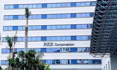 REE lập công ty tài chính vốn 1 triệu USD tại VIFC-HCMC