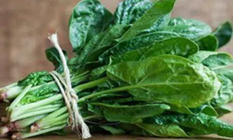 5 loại rau "đẩy máu" lên não, người rối loạn tiền đình đừng để thiếu trên mâm cơm: Chợ Việt bán đầy, vài chục nghìn đã mua được