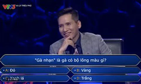 Gà nhạn có lông màu gì? Câu hỏi tại Ai Là Triệu Phú khiến người chơi suýt đánh rơi 14 triệu đồng