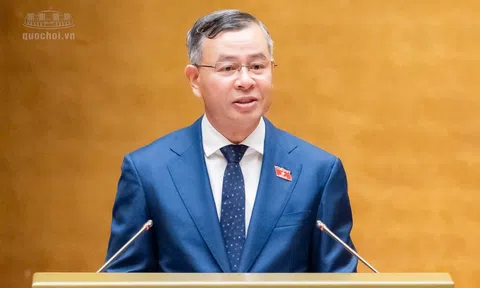 Chính phủ trình Quốc hội đánh thuế đất bỏ hoang cao gấp 7 lần