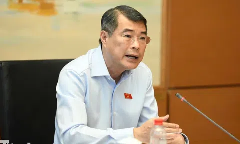 Thủ tướng: Làm rõ quy định đánh thuế 0,2% với đất bỏ hoang