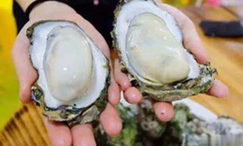 Đi chợ không nên mua 3 loại hàu này, giá rẻ đến mấy cũng đừng ham