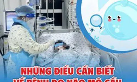 Những điều cần biết về bệnh do não mô cầu