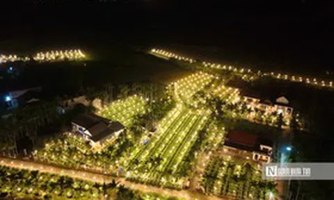 Thắp điện xuyên đêm "bắt hoa không ngủ" chờ Tết