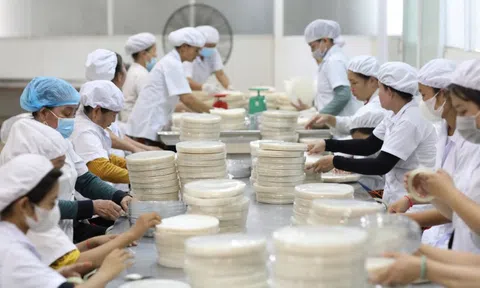 Lãi suất giảm, doanh nghiệp vẫn gặp khó khi vay vốn