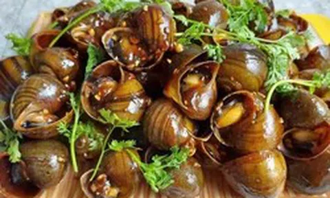 Lời khuyên cho những ai thích ăn ốc