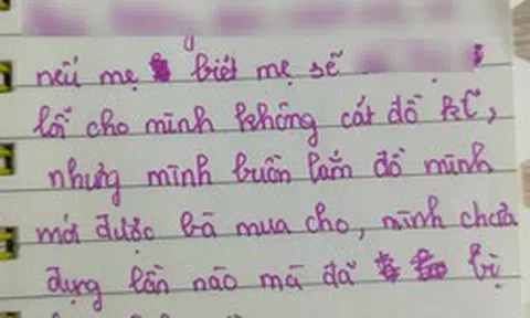 Gần 10 nghìn cư dân mạng Việt "thả tim" cho vài dòng nhật ký cách đây 3 năm: Đọc thấy như hình bóng chính mình trong đó!