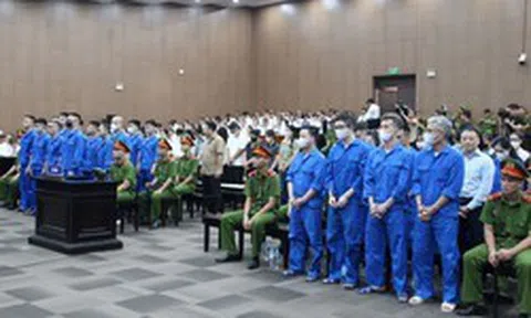 Tin 'yên tâm nạp tiền đi, của Shark Bình đó', người phụ nữ bị lừa hơn 6 tỷ đồng