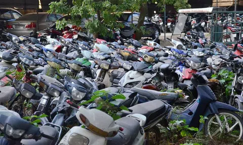 Bán xe "đồng nát", quên thu hồi biển số chủ xe có bị phạt?