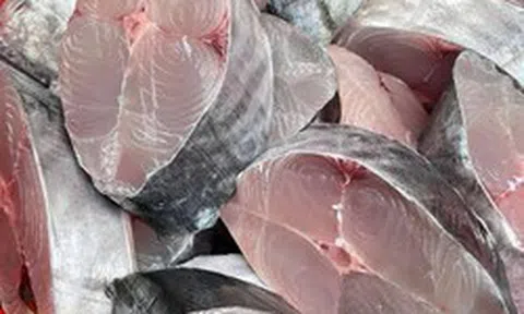 Nghiên cứu kéo dài 20 năm trên 90.000 người phát hiện: Ăn loại cá nào kéo dài tuổi thọ?