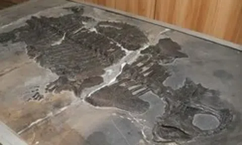 Phát hiện một loài vật mới bí ẩn có niên đại 237 triệu năm, quy luật sinh thái phải viết lại hoàn toàn