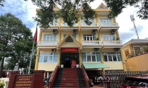 Chủ tịch UBND tỉnh Đắk Lắk ký quyết định giao phụ trách đơn vị cho Phó GĐ Ban QLDA bị tố giả mạo hồ sơ