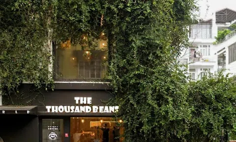 Quán quen hẻm nhỏ - Nơi niềm đam mê Cà phê bắt đầu: Cà Phê từ Đất Lành