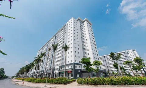 Altara Hospitality Group cam kết mang đến các dịch vụ tối ưu cho dự án Conic Boulevard
