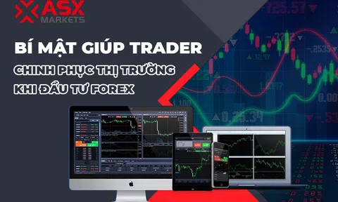 Bí Mật Giúp Trader Chinh Phục Thị Trường Khi Đầu Tư Forex