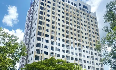 Căn hộ Fancy Tower: Cuộc sống hiện đại chào đón chủ nhân mới