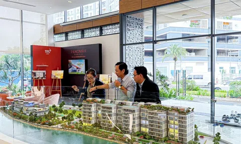 TTC Land hoàn thành kế hoạch lợi nhuận trước thuế năm 2024